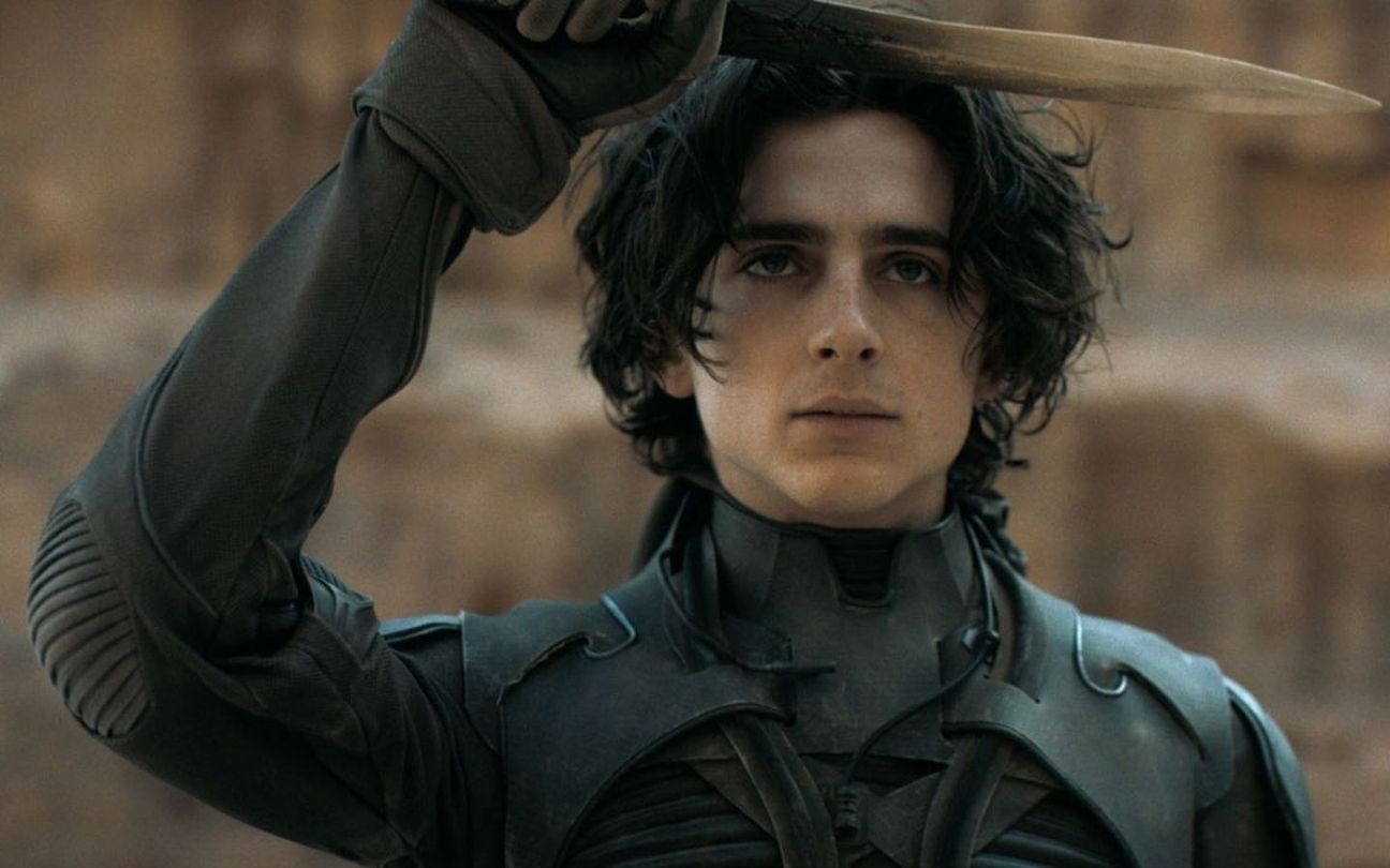 Por que Timothée Chalamet nunca fará filme de herói?